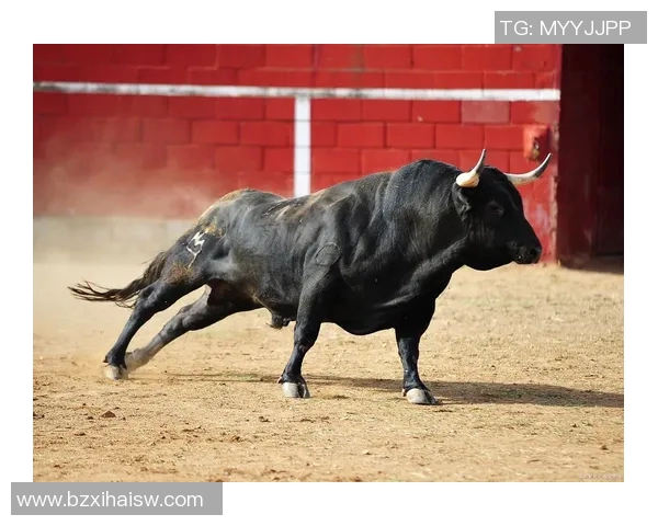 公牛精神象征与力量展现：从古代文化到现代竞技场的跨时代影响