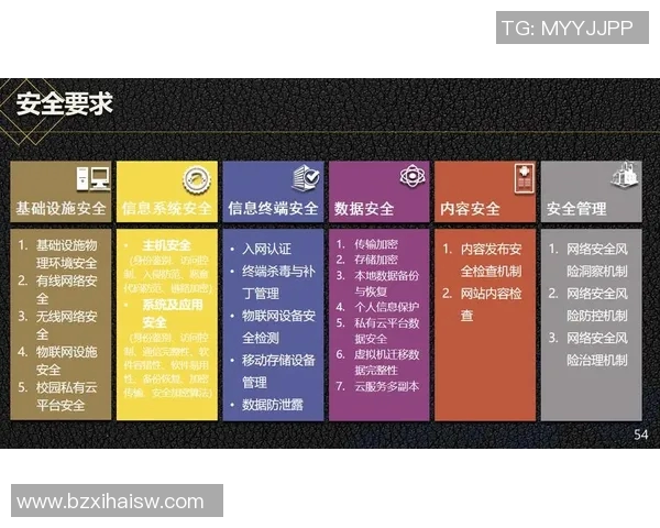 信息安全时代的挑战与机遇：构建全面防护体系应对数字化风险的策略与展望