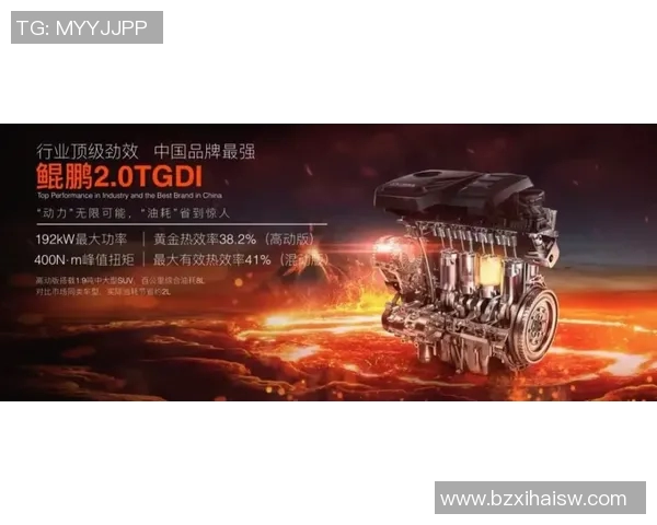 殡葬文化的传承与创新探讨：现代社会中殡葬行业的变革与发展