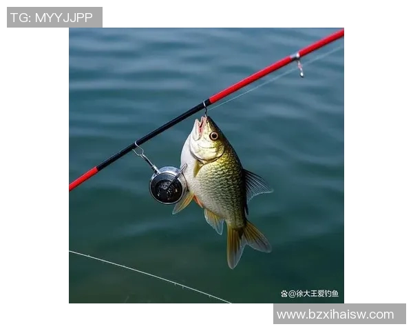 渔具选购与使用技巧全攻略助你成为钓鱼高手