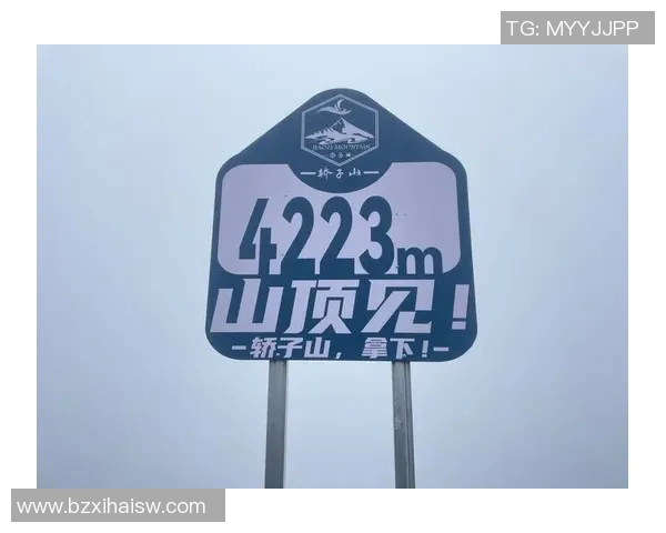 陈伟独家分享攀岩心得与技巧助你突破自我极限的攀登之路